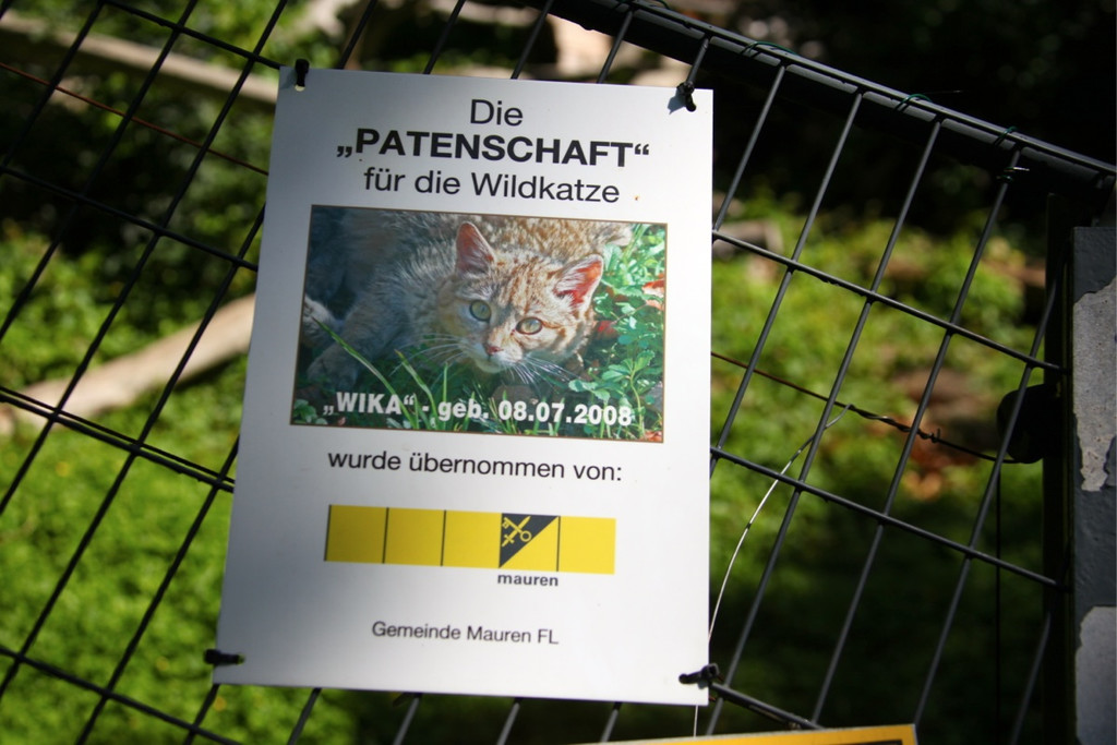 KOE_Wildpark Nachwuchs 41_jpg-1342723297