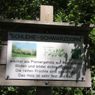 KOE_Wildpark Nachwuchs 48_jpg-1342723352