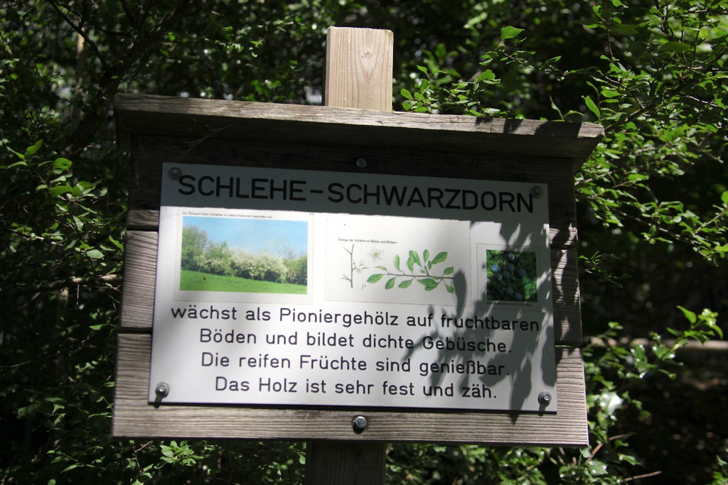 KOE_Wildpark Nachwuchs 48_jpg-1342723352