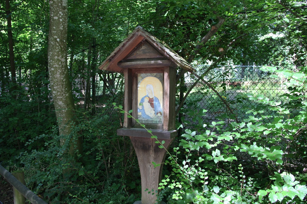 KOE_Wildpark Nachwuchs 49_jpg-1342723364