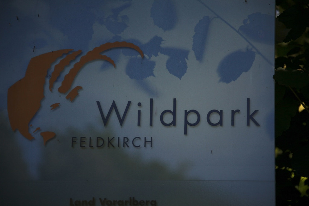 KOE_Wildpark Nachwuchs 52_jpg-1342723393