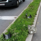 normal_19072012oberleitungde01001aktivnews_21.jpg