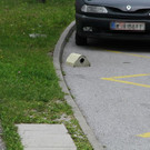 normal_19072012oberleitungde01001aktivnews_41.jpg