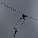 normal_19072012oberleitungde01001aktivnews_54.jpg