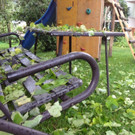 hagel25.jpg