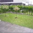 hagel36.jpg