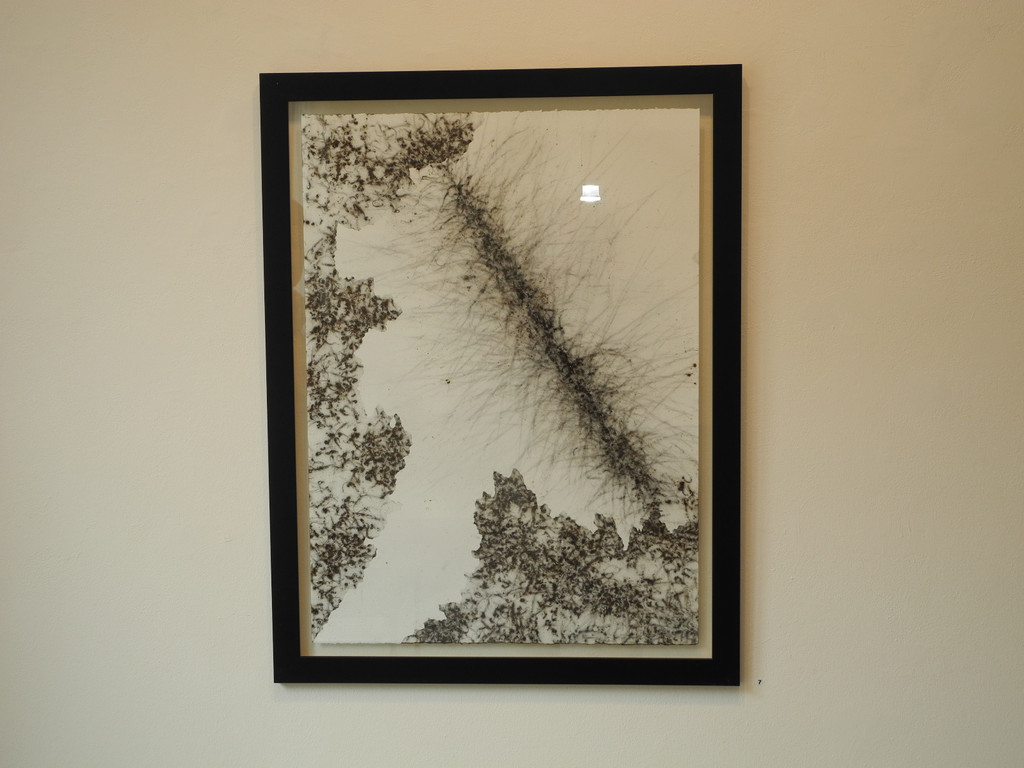 DSCN6924_JPG-1342770618