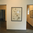 DSCN6925_JPG-1342770627