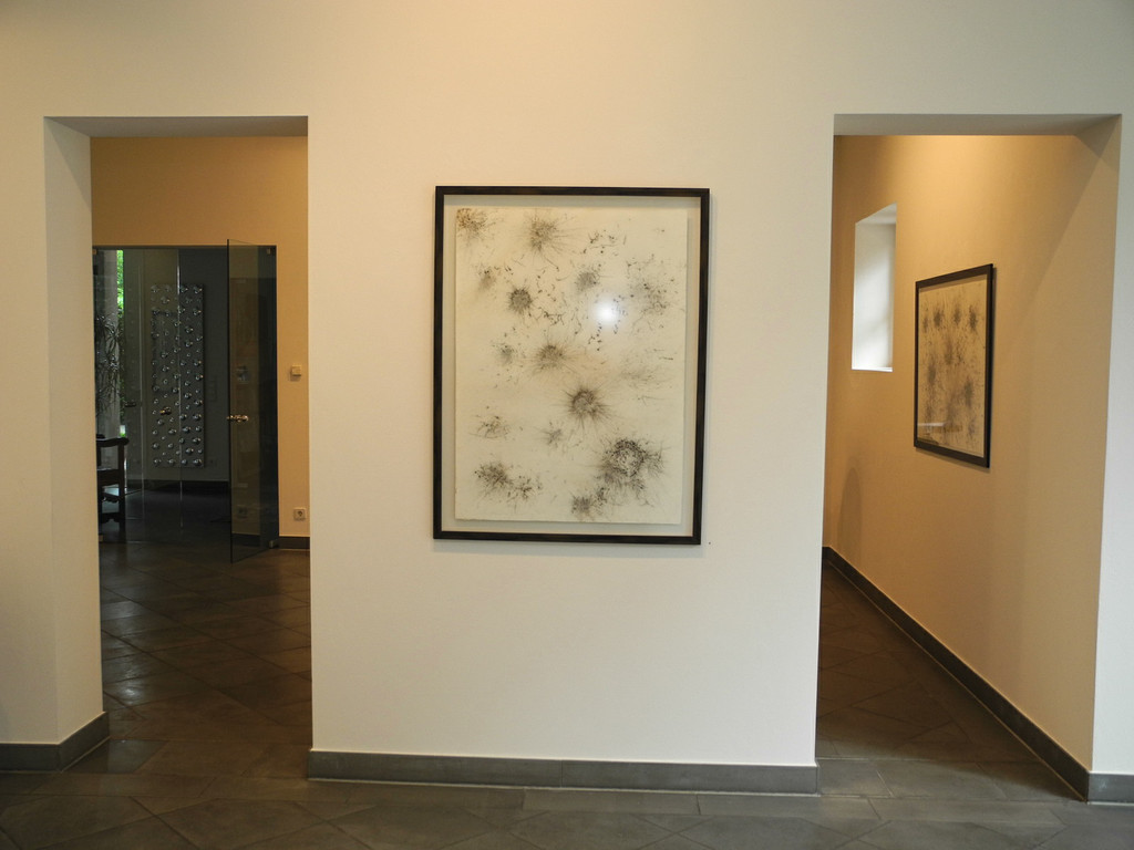 DSCN6925_JPG-1342770627