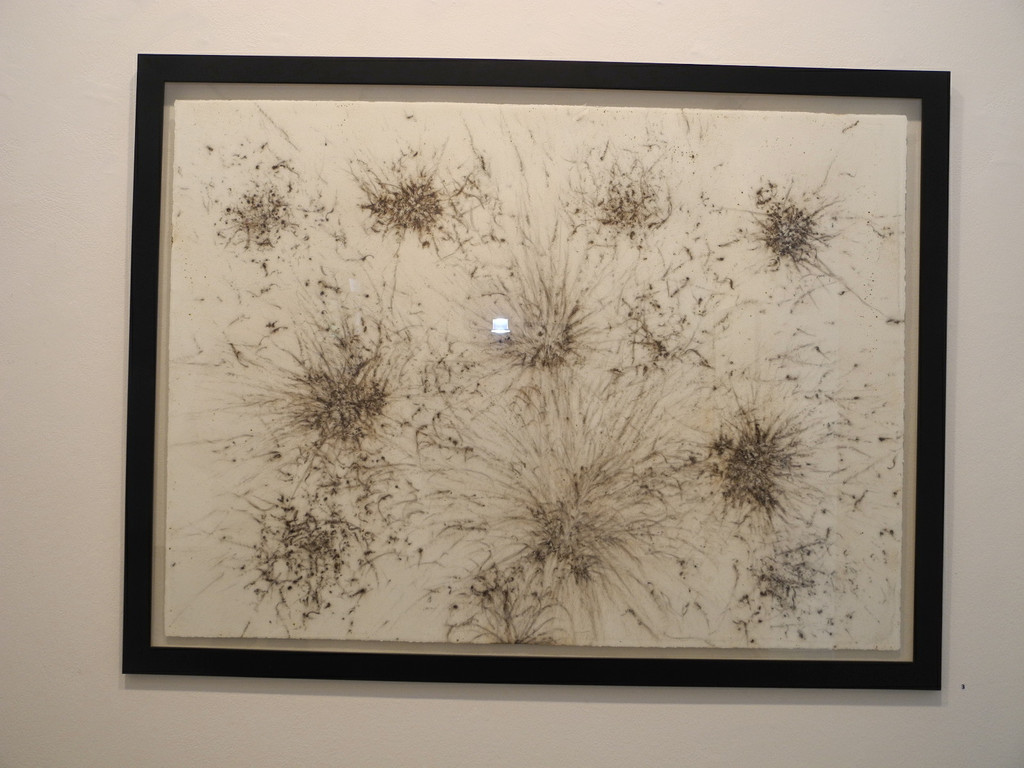 DSCN6931_JPG-1342770694