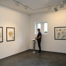 DSCN6932_JPG-1342770703