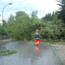 ABD0035-20120721.jpg