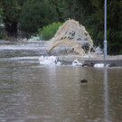 ABD0032-20120721.jpg