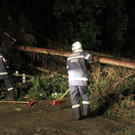 ABD0021-20120721.jpg