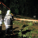 ABD0019-20120721.jpg