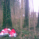 Jugendliche verüben Einbruchserie