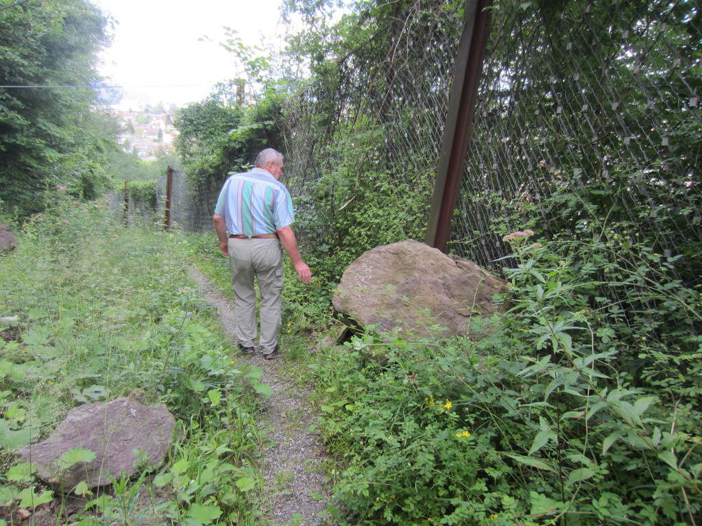 2012-07-13 088.jpg