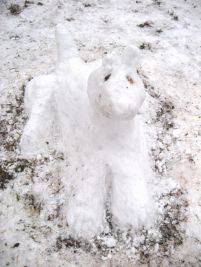 Schnee56.jpg