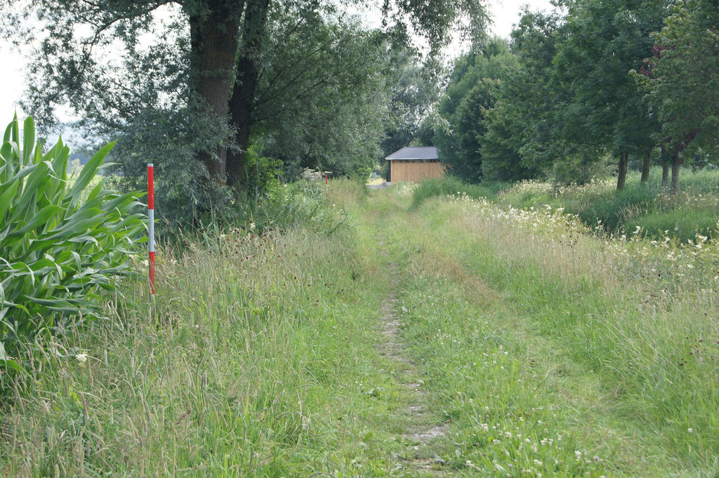 DSC05822_JPG-1342896627