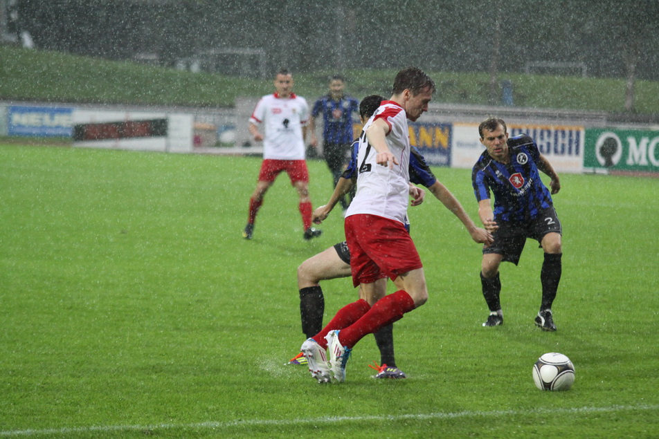 Dornb_ 2012 390.jpg