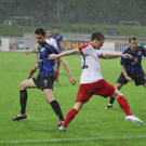 Dornb_ 2012 391.jpg