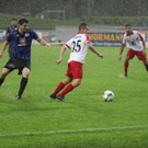 Dornb_ 2012 408.jpg
