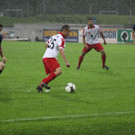 Dornb_ 2012 409.jpg