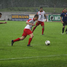 Dornb_ 2012 410.jpg