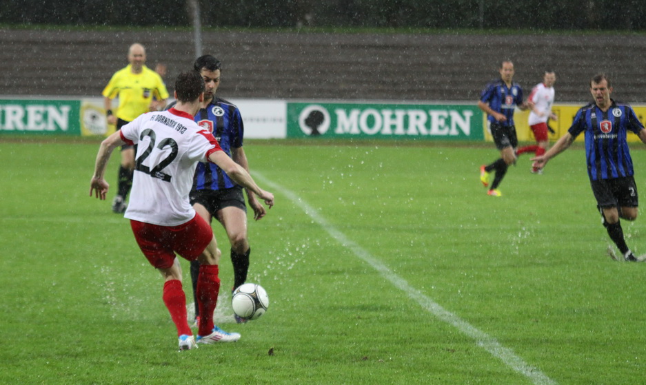 Dornb_ 2012 423.jpg