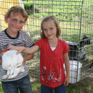 HP Hase 02_jpg-1342934376