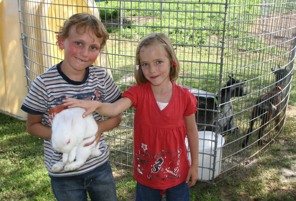 HP Hase 02_jpg-1342934376