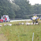 21072012_VU B55 _20_.JPG