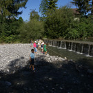 Fischgr__nde _____JPG-1342942353