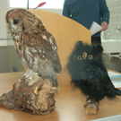 sm_gemeinde_kinderuni02.JPG