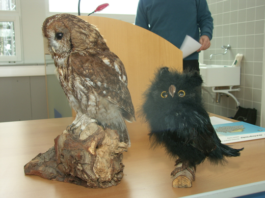 sm_gemeinde_kinderuni02.JPG
