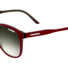carrera-ANDY ORC YR CA.JPG