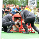 Oldiewehr Hard 21-07-2012 132_jpg-1342962592