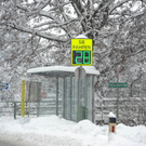 Schnee05.jpg