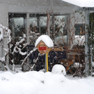 Schnee19.jpg