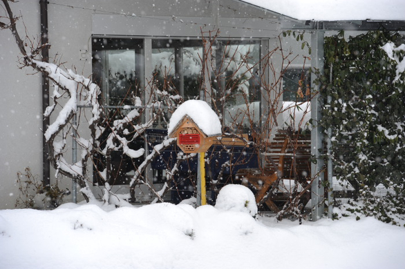 Schnee19.jpg