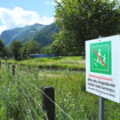 DSCN6987_JPG-1342966591