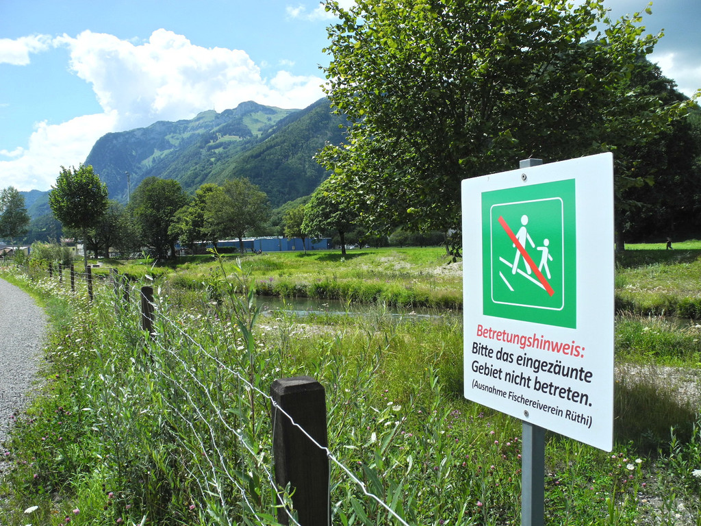 DSCN6987_JPG-1342966591