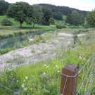 DSCN6988_JPG-1342966619