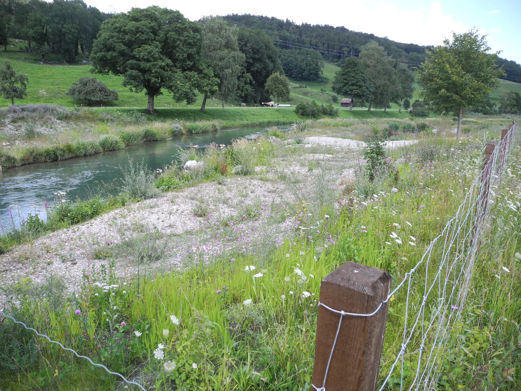 DSCN6988_JPG-1342966619