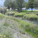 DSCN6989_JPG-1342966648