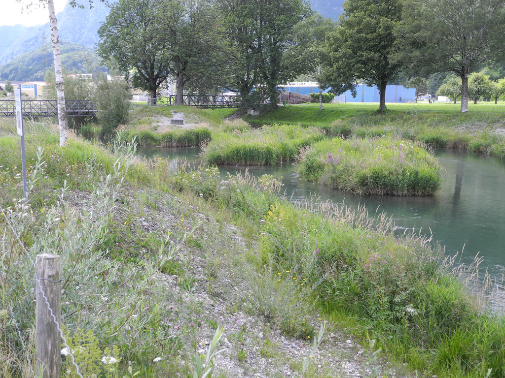 DSCN6989_JPG-1342966648