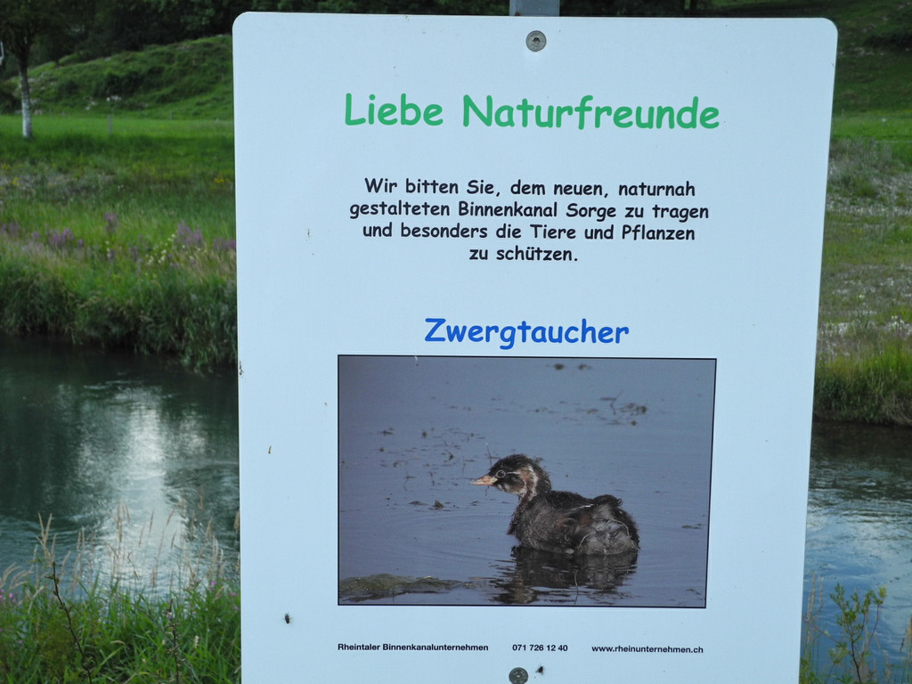 DSCN6990_JPG-1342966659