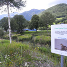 DSCN6991_JPG-1342966685