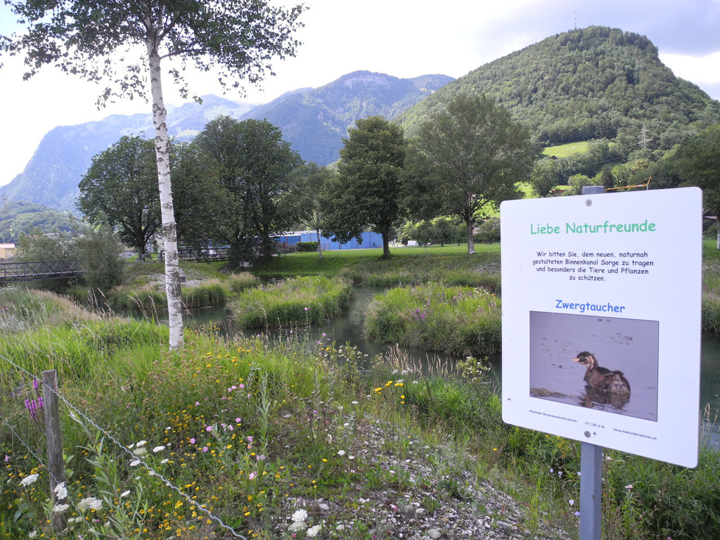 DSCN6991_JPG-1342966685