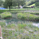 DSCN6992_JPG-1342966713